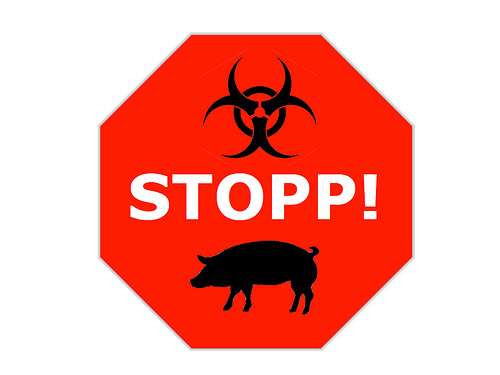 Stop sign_pig