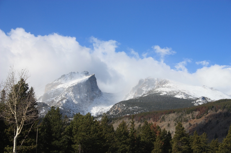 Rmnp1