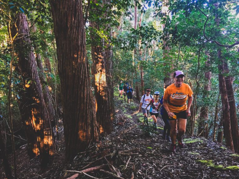 Aiea Loop Express Preview Run