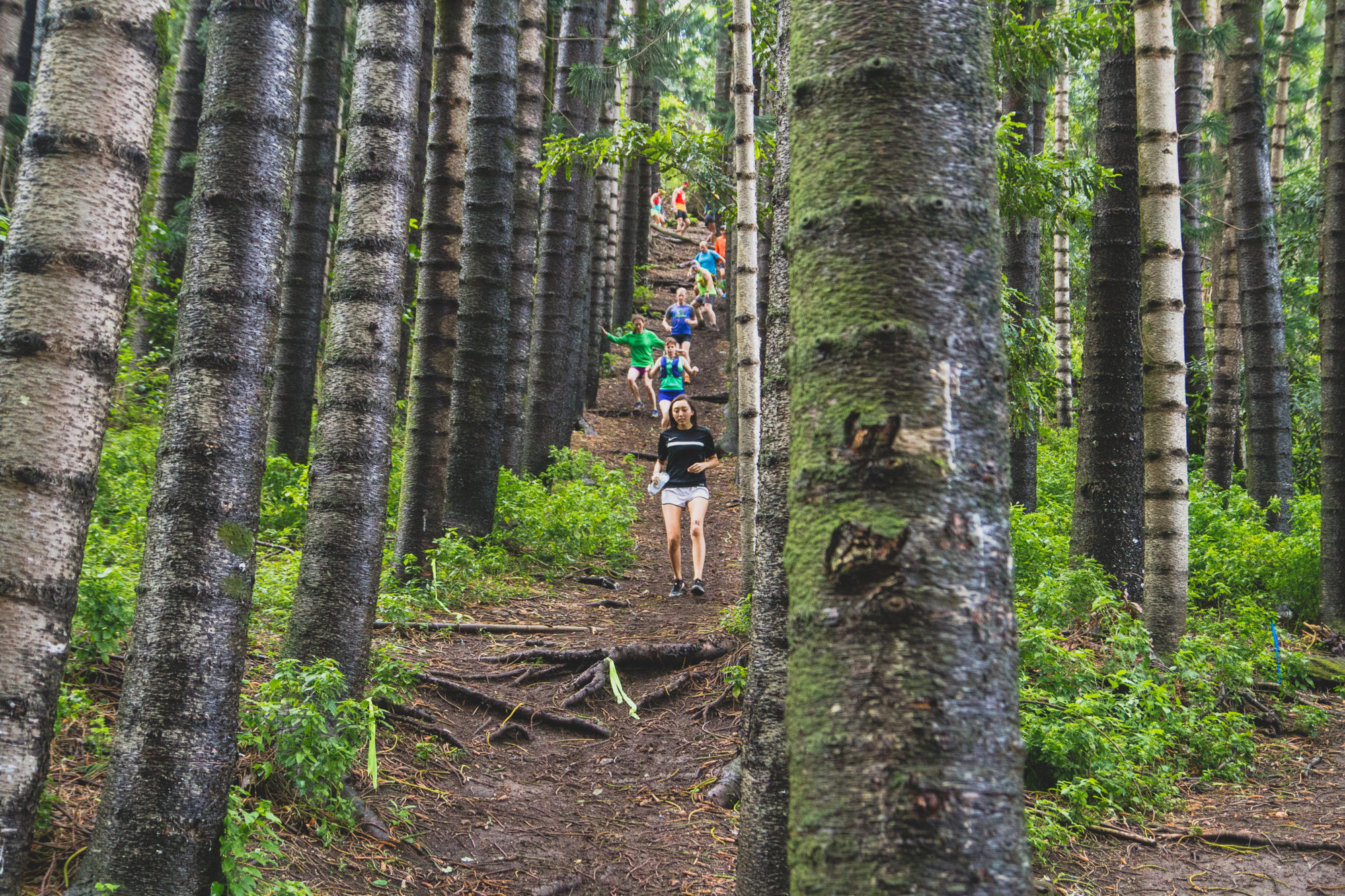 Vi’s Top of Tantalus Trail Race, 4/2/22