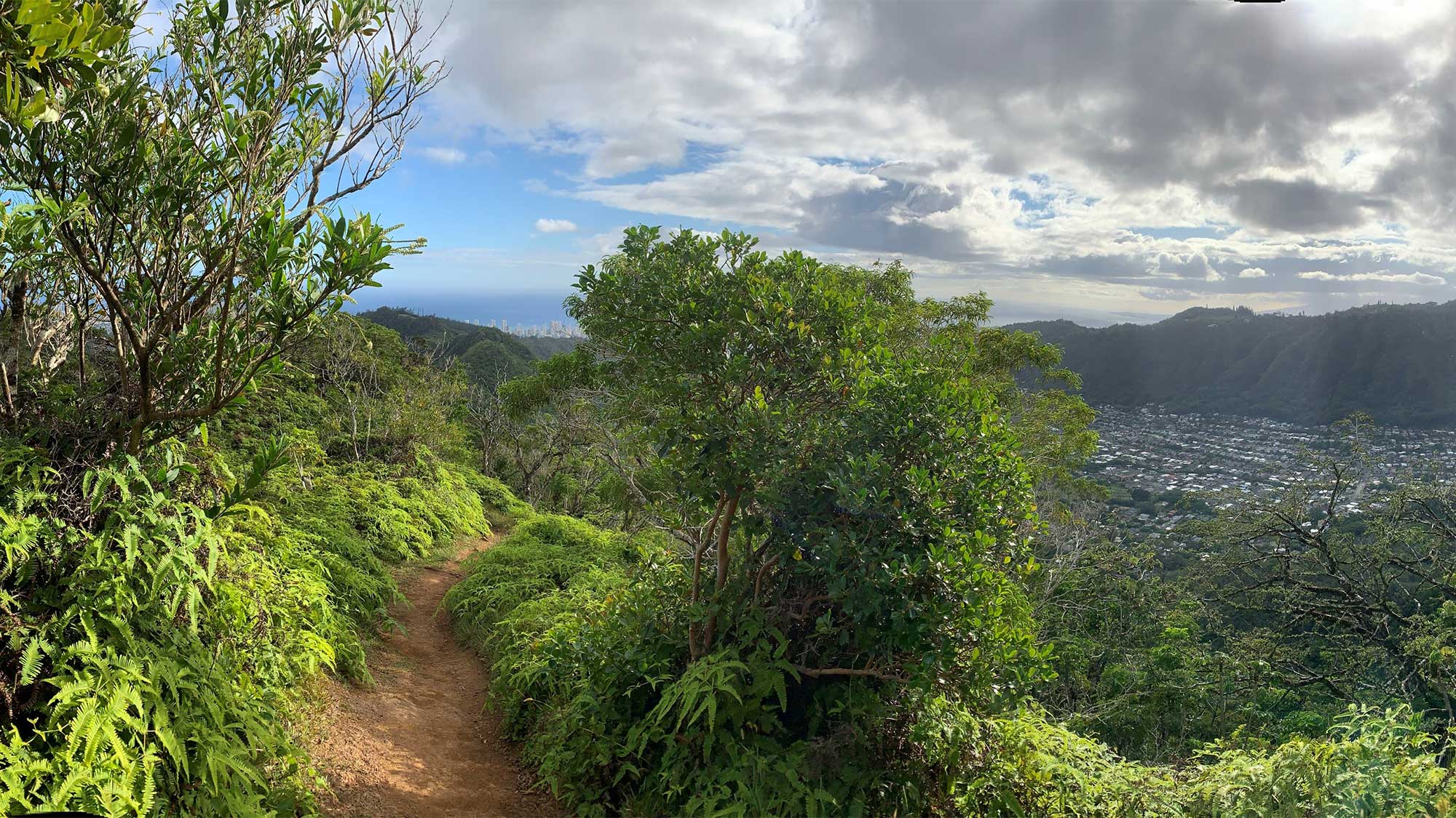 Waʻahila Wanderer Trail Race, 4/23/22