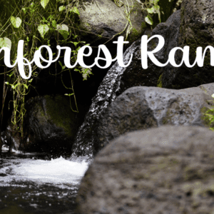 Rainforest Ramble